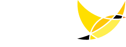 YPN-LOGO.png